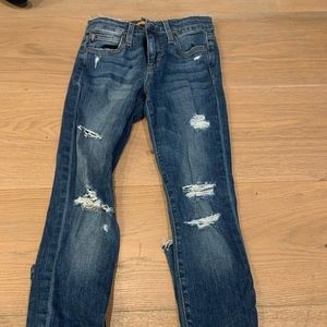Joe the Jean Skinny Icon Jeans